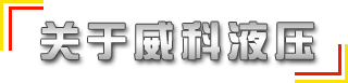 供应国标、非标315吨液压机